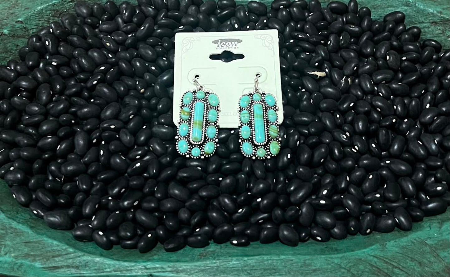 River Turquoise Earrings